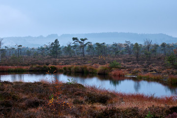 NSG „Schwarzes Moor