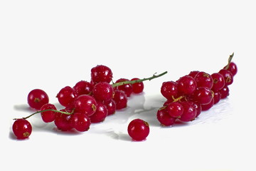 Two branches of red currant on white background.
