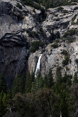 Fototapeta na wymiar Distant View Of Waterfall Yosemite Park With Trees