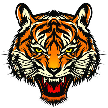Roaring tiger head, stylized graphics, color and line