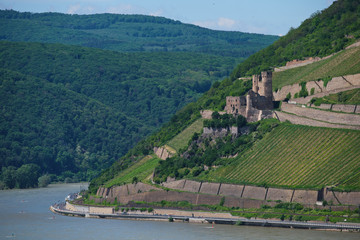 Fototapeta na wymiar Ehrenfels Castle, Burg Ehrenfels on Rhine river near Ruedesheim and Bingen am Rhein, Hessen, Germany