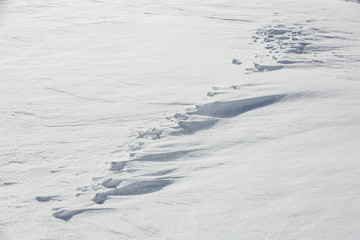 Fragment of snow surface after snowstorm