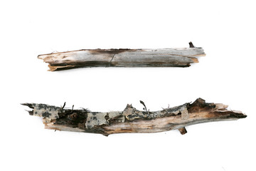 Dry tree branch isolated on white background.