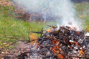 A large pile of burning branches and leaves with smoke.