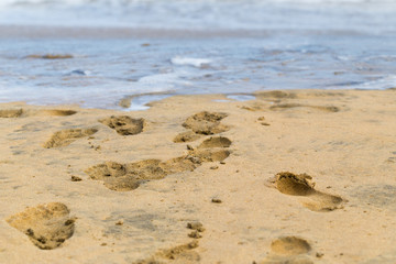 Footprints on the wet sand on the ocean