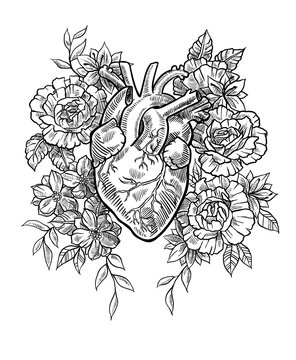 Anatomical heart in flowers in graphic style