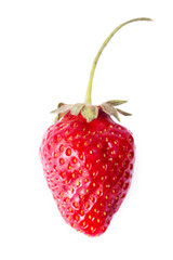 one strawberry isolated on white background