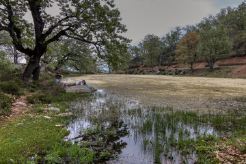 Fototapete bei efototapeten.de bestellen   