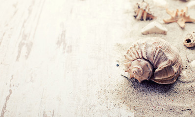 Summer holiday frame with seashells