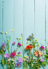 herbal and wildflowers on blue wooden table background - obrazy, fototapety, plakaty
