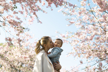 Young mother mom holding her little baby son boy child under blossoming SAKURA Cherry trees with falling pink petals and beautiful flowers