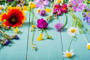 Obraz premium herbal and wildflowers on blue wooden table background