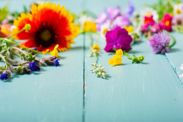 herbal and wildflowers on blue wooden table background