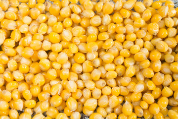 background of cooked yellow corn grains