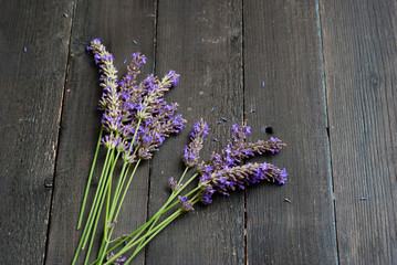 purple lavender flowers on black wooden table background