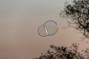 A Flaoting Bubble
