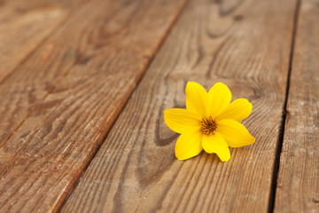 Fototapeta na wymiar yellow flowers on wooden background