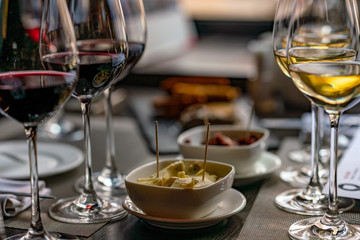 Red and White Wine tasting degustation glass set