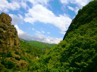 Obraz premium OLYMPUS DIGITAL CAMERA