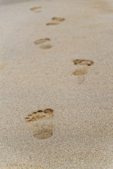 Beach scene of footprints in a sand