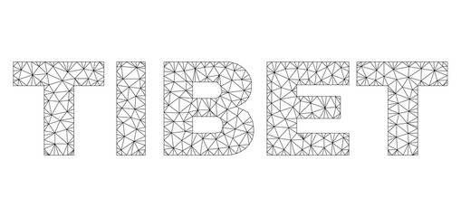Mesh vector TIBET text. Abstract lines and points are organized into TIBET black carcass symbols. Wire frame 2D polygonal mesh in vector format.