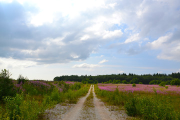 landscape with road and clouds