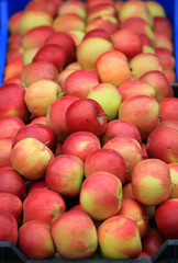 Heap apple of red apple fruit