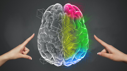 Female hands touching Analytical and Creative part of brain