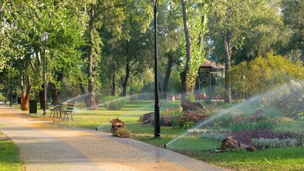 Water sprinkle system in summer park. Sprinkler showering lawn. Beautiful park landscape design.
