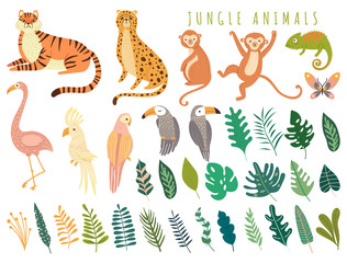 Jungle wild animal and exotic bird with exotic tropical leaves. Set with Isolated vector of tiger, monkey, leopard, chameleon, cockatoo, flamingos, parrot, cockatoo, toucan. Cartoon illustration