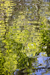 Liquid Green Spring Ripples Textures. Dreamy beautiful green and brown ripples on the water on a sunny spring day. Perfect texture or background.