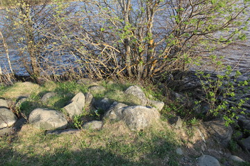shore of the lake with stones