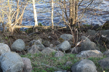 shore of the lake with stones 
