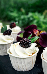 Cupcakes with whipped cream and blackberry. Festive party cakes for birthday, wedding.
