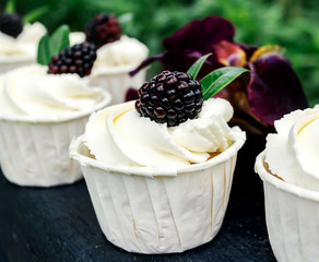 Cupcakes with whipped cream and blackberry. Festive party cakes for birthday, wedding.