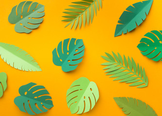 Set of different fresh tropical leaves on yellow background