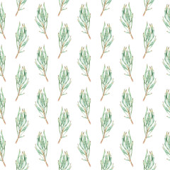 Fototapeta na wymiar Watercolor seamless pattern of green protea leaves.