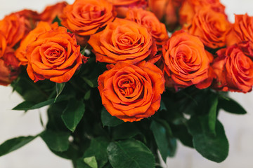 Bouquet of large red roses close up