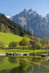 Idyllic summer landscape in the Austrian Alps