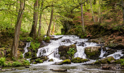 Selkewasserfall im Harz