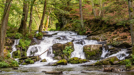 Selkewasserfall im Harz