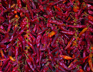 Fototapeta premium Pile of red hot chille peppers