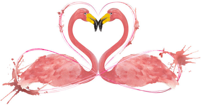 Handdrawn Aquarell Flamingo, Watercolor, Animal, Nature, 
