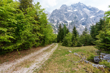 Wanderweg in der Hetzau im Almtal mit totem Gebirge