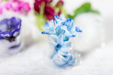 Tray with Frozen Flowers in Ice Cubes on grey Background, top view, copy space for text