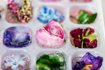 Tray with Frozen Flowers in Ice Cubes on grey Background, top view, copy space for text