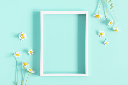 Beautiful flowers composition. Blank frame for text, spring and summer chamomile white  flowers on pastel mint background. Flat lay, top view, copy space 
