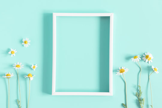 Beautiful flowers composition. Blank frame for text, spring and summer chamomile white  flowers on pastel mint background. Flat lay, top view, copy space 