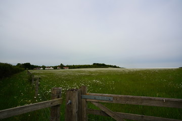 Fototapeta na wymiar rural landscape