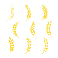 Obraz premium Wheat grains of different shapes set. A set of icons ready to use in your design. Vector icons can be used on different backgrounds. EPS10.